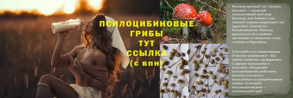 mix Беломорск