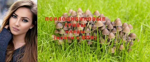 трава Белоозёрский