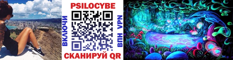 Псилоцибиновые грибы Psilocybine cubensis  где купить наркоту  Вуктыл 
